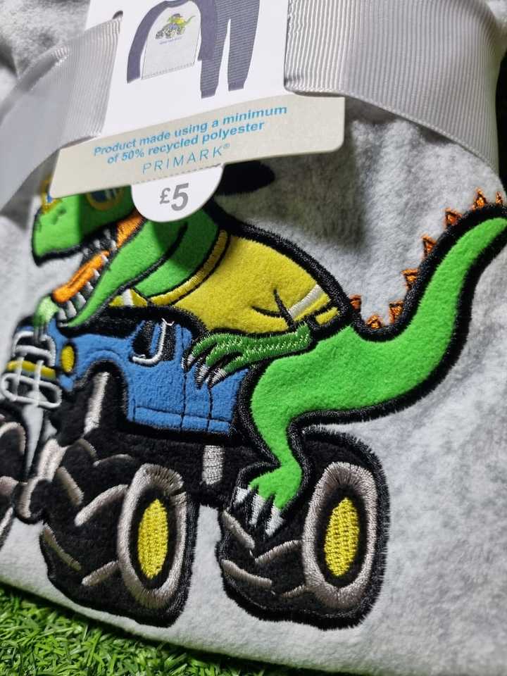 Dinosaur Fleece Pyjamas