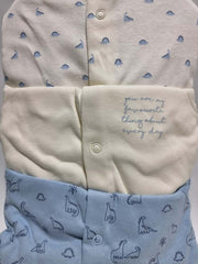 Blue Dinosaur Sleepsuits 3 Pack